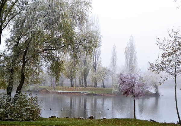 Jardins et paysages